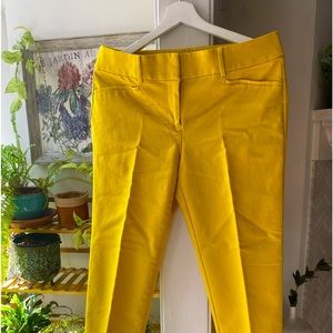 Ann Taylor Loft pant cropped small slit at the hem mustard color